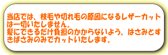 レザーは使用はいたしません