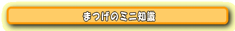 まつげのミニ知識